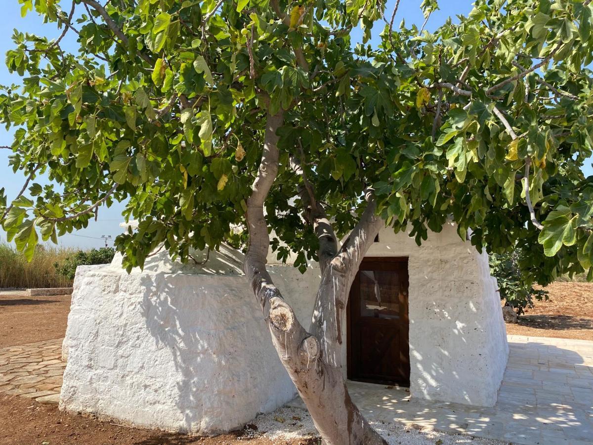 Вилла Trullo Seaside Polignano Полиньяно-а-Маре Экстерьер фото